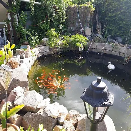 Auf Dem Land Rochlitz