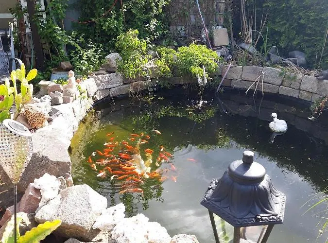 Auf Dem Land Rochlitz